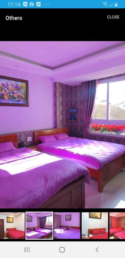 My Dream Hostel Dalat Eksteriør bilde